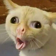 pp