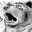 GrizzlyDave