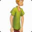 Shaggy Rogers