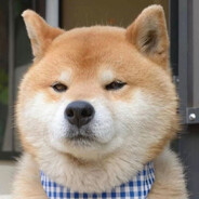 我在等风也在等你