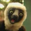 zoboomafoo