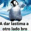 Pepox