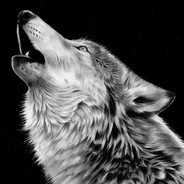 Gray Wolf - steam id 76561197971078631