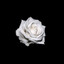 .eclipSSky