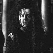 челодой молодек