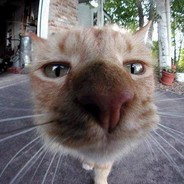 Calagane - steam id 76561197963215095