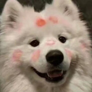 为了华森变成狼人模样