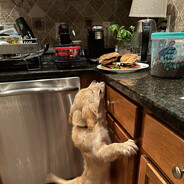 burgerthief27