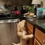burgerthief27