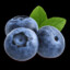 Tart_Blueberry