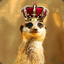 King Meerkat