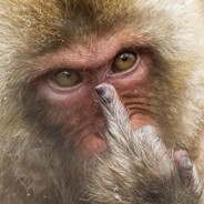 求你跟住我谢谢