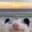Nuzzload
