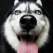 蛤？帝蛙爱你呦！