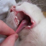 Zeruxx. - steam id 76561197961157520
