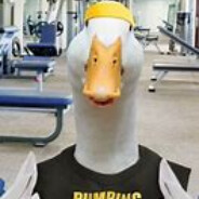 tuckduck