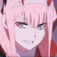 hazorchik