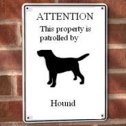 Hound - steam id 76561197971800261
