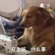 让我看看谁是星怒