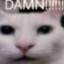 whxisneirx