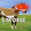 smorse