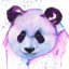 PurplePanda