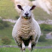 Fluffy Sheep - steam id 76561197970941770