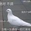 咕咕咕