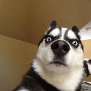 吃货心好累好想退休