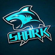 Sharkkkk000