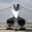 Tupolev Tu-144's avatar