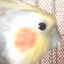 TifhT
