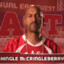 Hingle McCringleberry