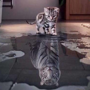 一包舔三遍，每遍都有新发现