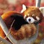 ruda panda lpr *