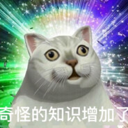 奇怪的mur猫增加了