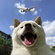 她的比赛不进去