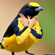 H.P. Lovecraft's cat