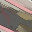 感谢经历