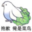 我是菜鸡