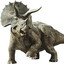 Triceratops