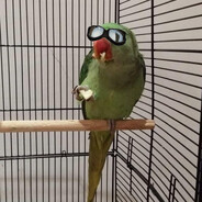 Zeli - steam id 76561199098875693