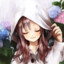 Dinno_DI