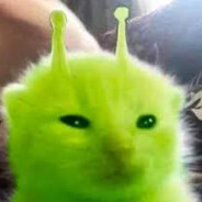 kaupallinen yhteistyö