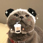 一个普通的靓仔而已