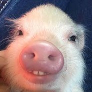WaterPiglet avatar