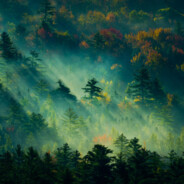 慈眉善目谋黄忠