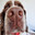 snoopington