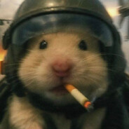 -v3znan- - steam id 76561199545905674