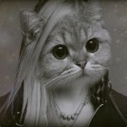 МИША РАПИРА